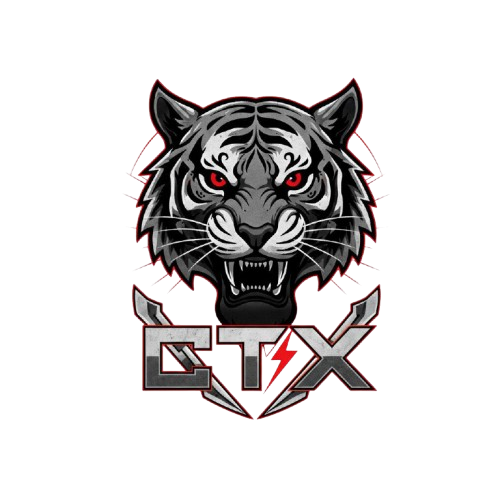 City Tigers X